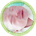 当院でお生まれの赤ちゃん